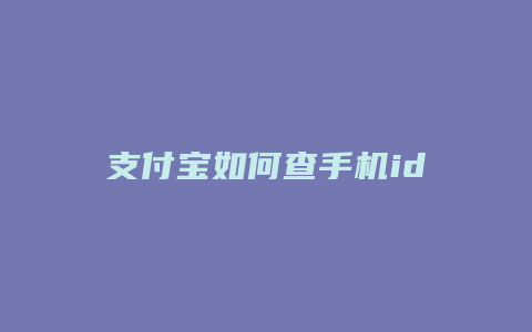 支付宝如何查手机id