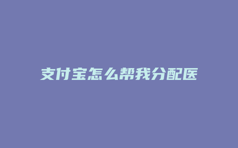 支付宝怎么帮我分配医保