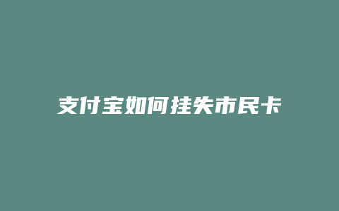 支付宝如何挂失市民卡