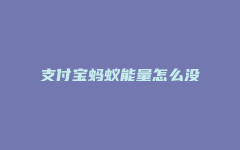 支付宝蚂蚁能量怎么没了