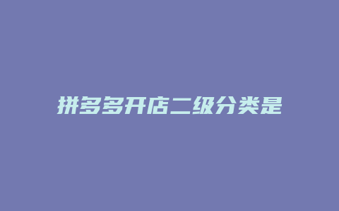 拼多多开店二级分类是什么