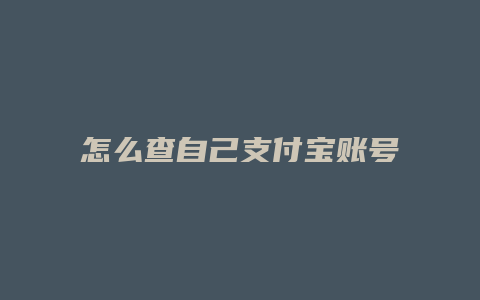 怎么查自己支付宝账号