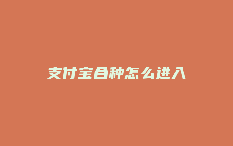 支付宝合种怎么进入