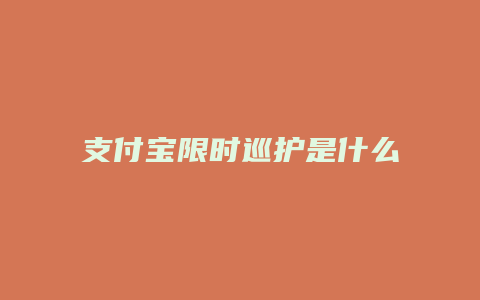 支付宝限时巡护是什么