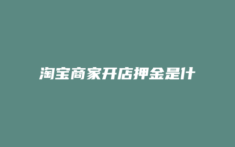 淘宝商家开店押金是什么