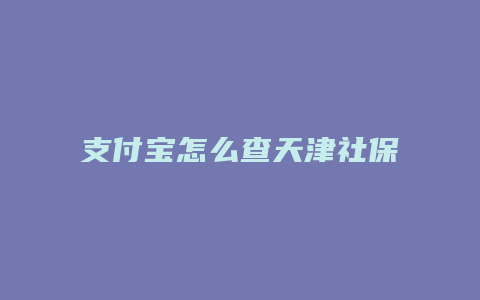 支付宝怎么查天津社保