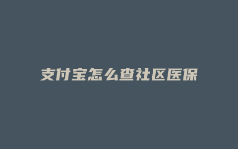 支付宝怎么查社区医保