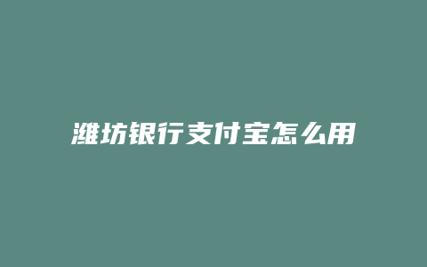 潍坊银行支付宝怎么用