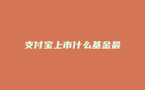 支付宝上市什么基金最好