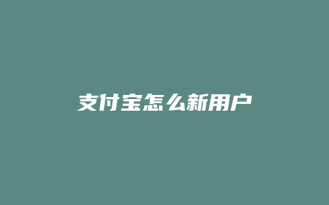 支付宝怎么新用户