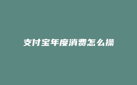 支付宝年度消费怎么操作