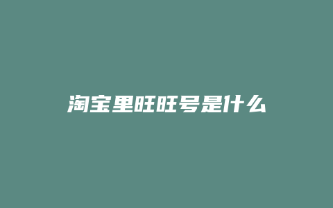 淘宝里旺旺号是什么