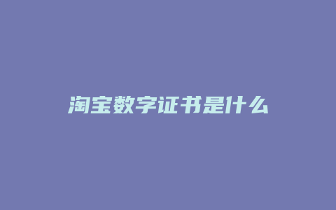 淘宝数字证书是什么