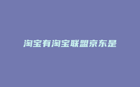 淘宝有淘宝联盟京东是什么