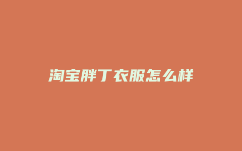 淘宝胖丁衣服怎么样