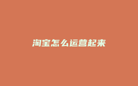 淘宝怎么运营起来