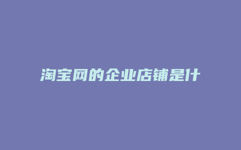 淘宝网的企业店铺是什么意思