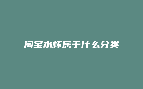 淘宝水杯属于什么分类