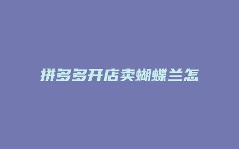 拼多多开店卖蝴蝶兰怎么样