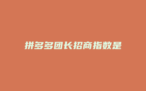 拼多多团长招商指数是什么