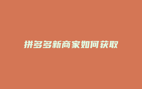 拼多多新商家如何获取流量