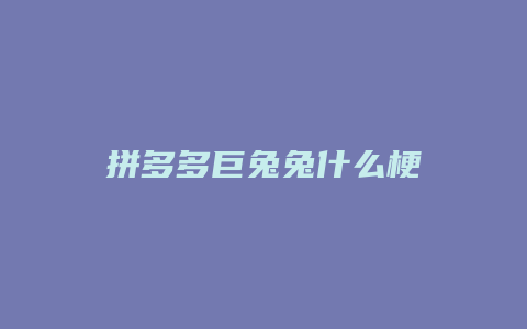 拼多多巨兔兔什么梗