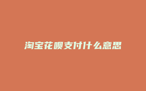 淘宝花呗支付什么意思