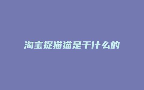 淘宝捉猫猫是干什么的