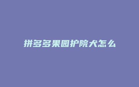 拼多多果园护院犬怎么得到