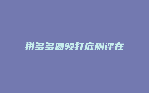 拼多多圆领打底测评在哪里