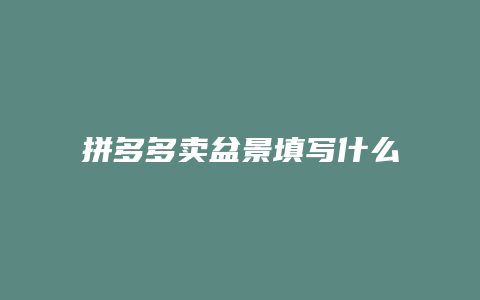 拼多多卖盆景填写什么类