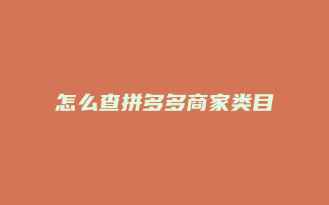 怎么查拼多多商家类目数量