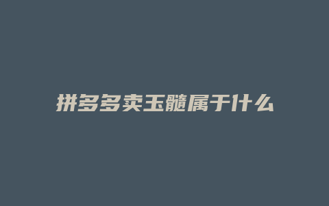 拼多多卖玉髓属于什么类目