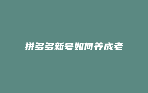 拼多多新号如何养成老号