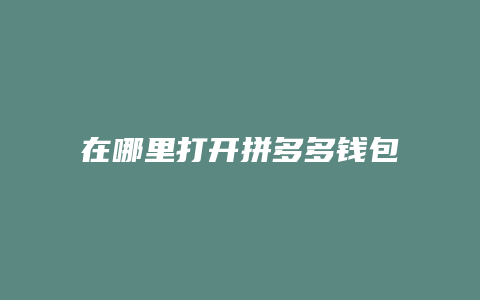 在哪里打开拼多多钱包助手