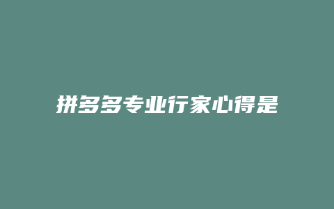 拼多多专业行家心得是什么