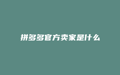 拼多多官方卖家是什么岗位