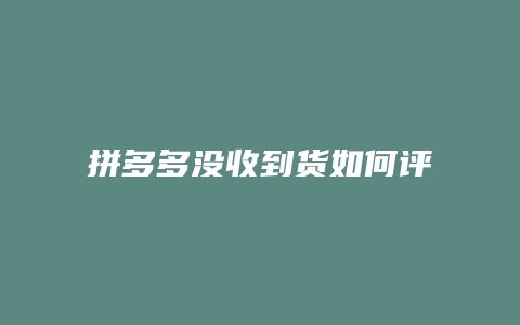 拼多多没收到货如何评论