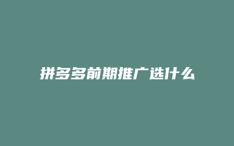 拼多多前期推广选什么类目