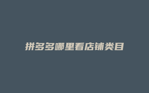 拼多多哪里看店铺类目信息