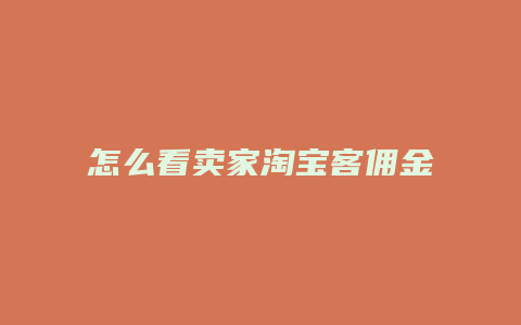 怎么看卖家淘宝客佣金