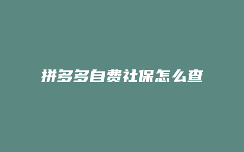 拼多多自费社保怎么查不到