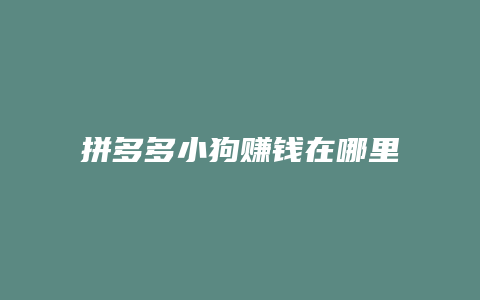 拼多多小狗赚钱在哪里查看