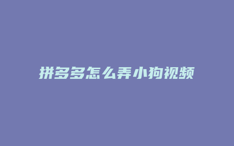 拼多多怎么弄小狗视频