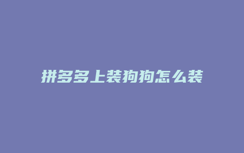 拼多多上装狗狗怎么装