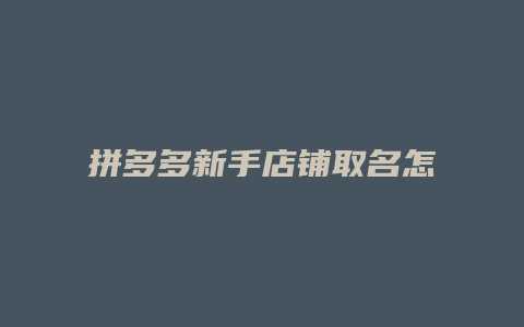 拼多多新手店铺取名怎么取