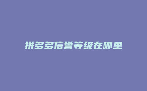 拼多多信誉等级在哪里查