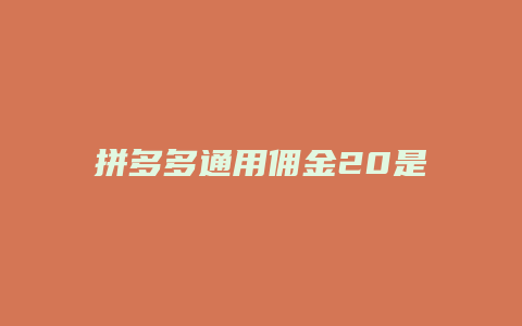 拼多多通用佣金20是什么