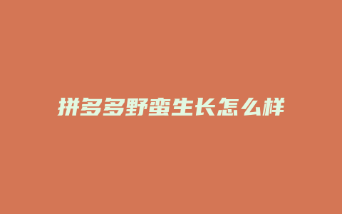 拼多多野蛮生长怎么样