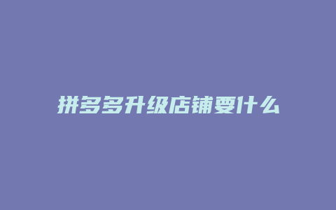 拼多多升级店铺要什么材料